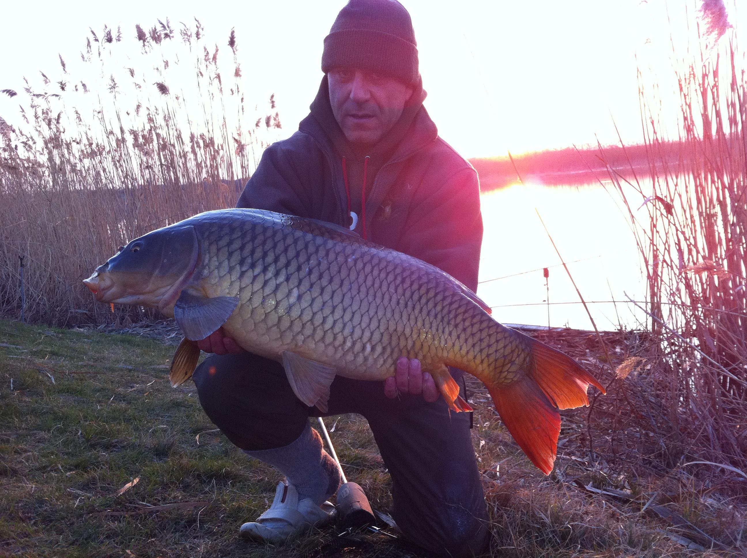 Tancabesti 2012 - aprilie 2012 006.JPG